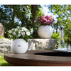 Image of Lechuza Puro 20 Diameter Self Watering Pot - 20cm