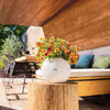 Image of Lechuza Puro 20 Diameter Self Watering Pot - 20cm