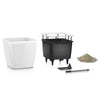 Image of Lechuza Quadro LS 21 Self Watering Pot - 21cm
