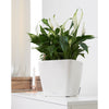 Image of Lechuza Quadro LS 43 Self Watering Pot - 43cm