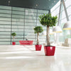 Image of Lechuza Quadro LS 50 Self Watering Pot - 50cm