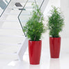 Image of Lechuza Rondo 32 Self Watering Pot - 32cm