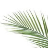 Image of Small Artificial Areca Palm Plant 80cm