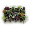Image of Vicinity Greenwall Vertical Garden Kit - 40 Pots