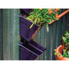 Image of Wallgarden Multi Hang 20 Pot Vertical Garden Wall Kit