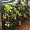 Image of Wallgarden Original 5 Pot Vertical Garden Wall Kit