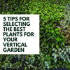 5 Tips for selecting the best plants for your vertical garden
