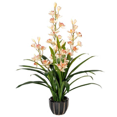 Flowering Plants