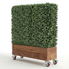 Image of Artificial Natural Buxus Freestanding Hedge 1m x 1m x 30cm