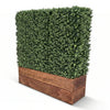 Image of Artificial Natural Buxus Freestanding Hedge 1m x 1m x 30cm