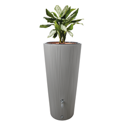 Rainwater Tank With Plants