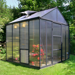 Palram Glory Greenhouse 8x8