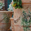 Image of Decorative terracotta pots with floral arrangements and a logo on a brick wall background.