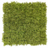 Image of Fake Moss Wall Full View