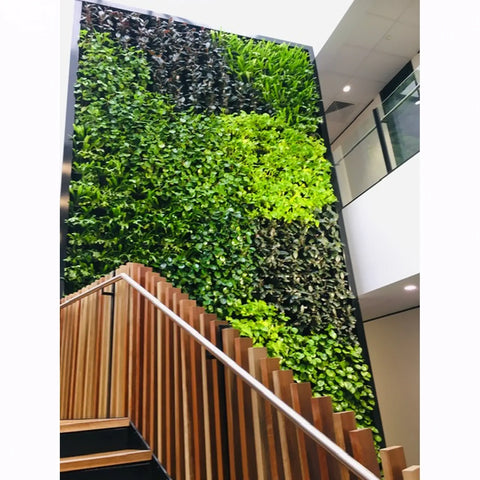 Green wall with wooden staircase and railing in an indoor setting