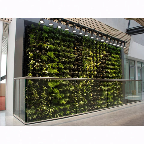 Green living wall with plants in an indoor setting
