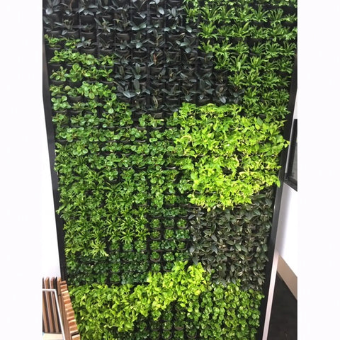 green wall with a mix of green and black plants on a white background