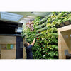 Image of Man interacting with a living wall in an indoor setting