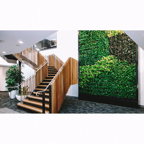 Modern staircase with wooden railings and a green wall in an indoor setting.