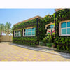 Image of Building with a green wall and palm trees in the background