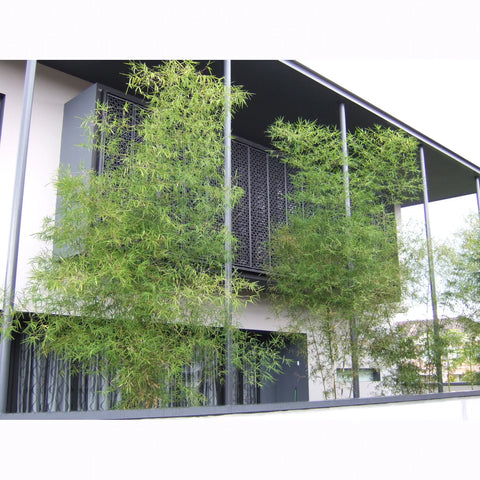 atlantis facade panels installed on a balcony with trees in the foreground