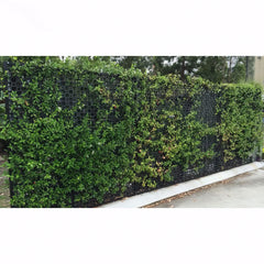 Atlantis Gro-Wall Facade 50mm 1m²