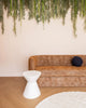Image of Artificial Hanging Air Plant Spanish Moss 'Old Mans Beard' 60cm