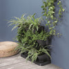 Image of Herb Vertical Garden Display