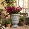 Image of Celadon Traditional Authentic Anduze French Urn