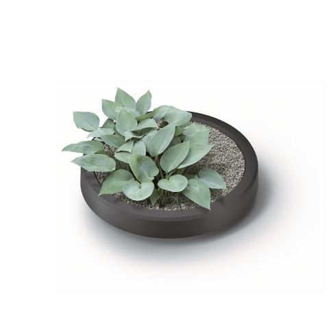 Modern Rainwater Tank 240L Planter Base With Plant
