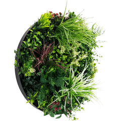Colour Fresh Artificial Green Wall Disc UV Stabilised