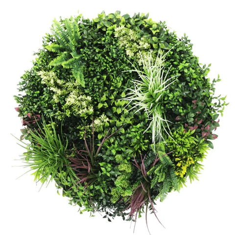 80cm Colour Fresh Artificial Green Wall Disc UV Stabilised - Black