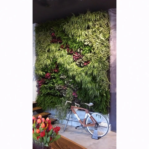 Green wall with plants and a bicycle in a room