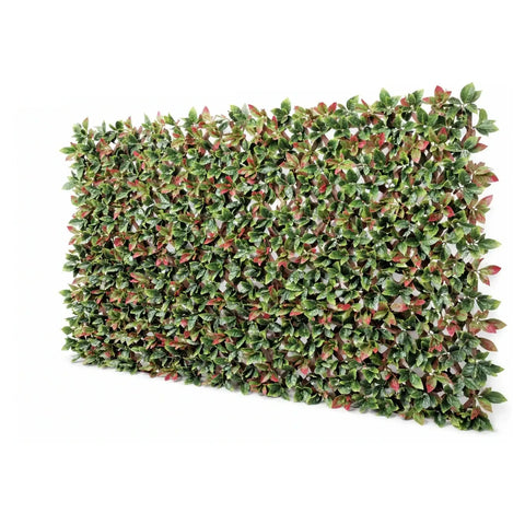 Expandable Photinia Trellis Screen 2m x 1m UV Stabilised