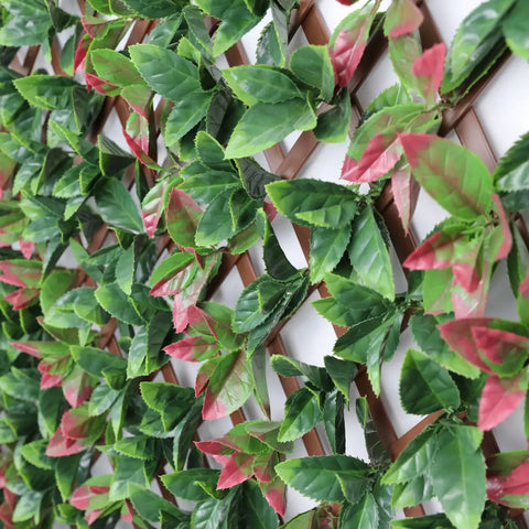Expandable Photinia Trellis Screen 2m x 1m UV Stabilised