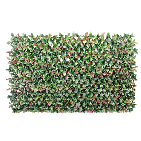 Expandable Photinia Trellis Screen 2m x 1m UV Stabilised