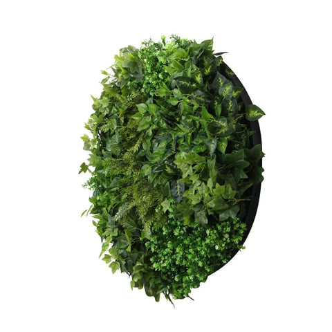 Mixed Fern And Ivy Artificial Green Wall 100cm Black Actual View