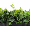 Image of Mixed Fern And Ivy Artificial Green Wall 100cm Black Leaves Image 2