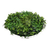 Image of Mixed Fern And Ivy Artificial Green Wall 100cm White Main View