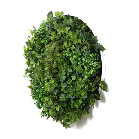 Mixed Fern And Ivy Artificial Green Wall 90cm White Actual View