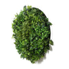 Image of Mixed Fern And Ivy Artificial Green Wall 90cm White Actual View