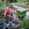 Image of Hungry Bin Worm Composter In The Garden 2