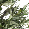 Image of Large Fake Olive Tree Olives and Leaves View