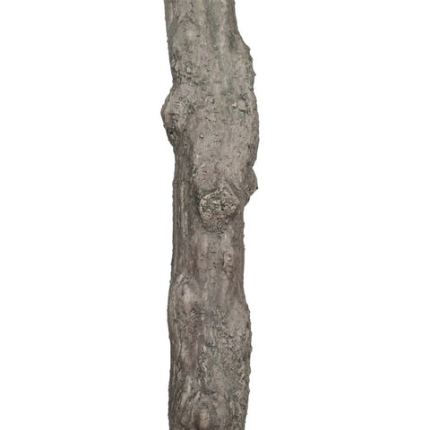 Large Fake Olive Tree Trunk View