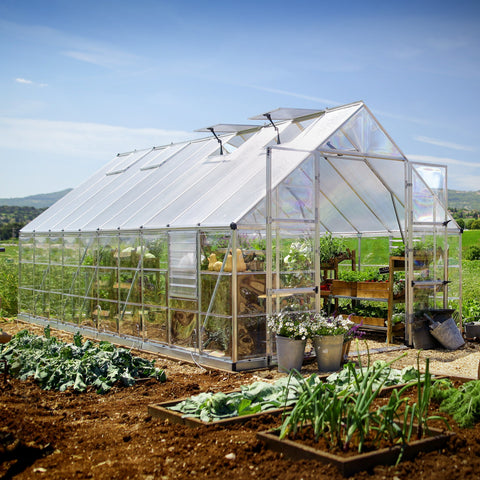 Maze Balance Greenhouse Full View