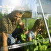 Image of Maze Balance Greenhouse Planting Inside View