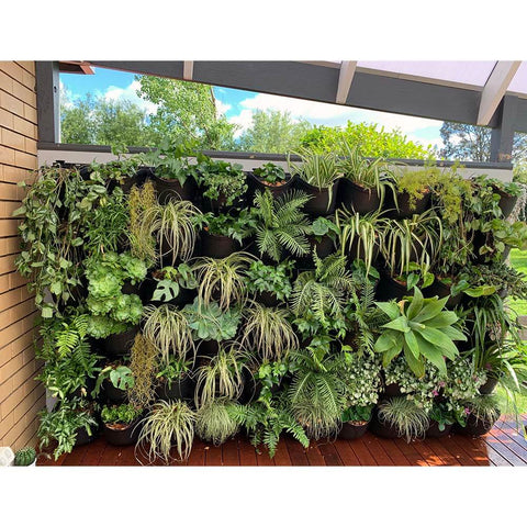 Maze Vertical Garden XL Green Wall Kit Installed on Patio