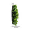 Image of Mixed Fern And Ivy Artificial Green Wall Disc UV Stabilised