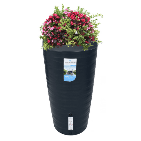 Charcoal Rainwater tank 240L With Plant On Top