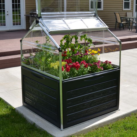 Palram Plant Inn Mini Greenhouse Actual View